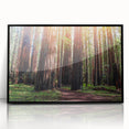 Framed acrylic wall art featuring a vibrant botanical design of redwood trees, presented in a sleek black frame, ideal for nature-inspired home decor.