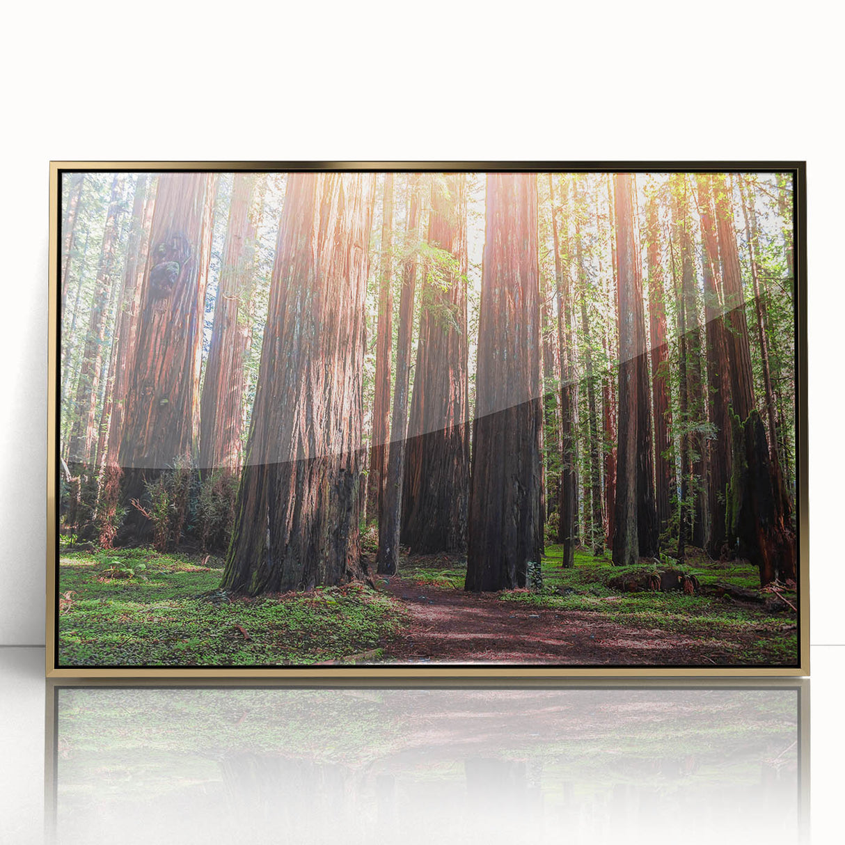Framed wall art showcasing a botanical design of redwood trees, featuring vibrant colors and intricate details, set in a sleek gold frame for elegant decor.