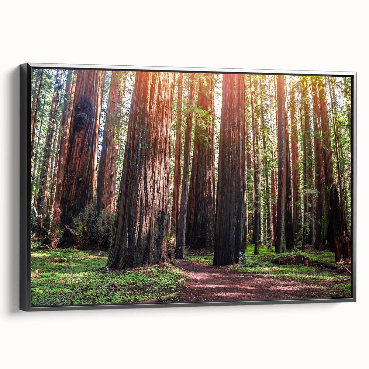 Framed wall art featuring a botanical design of vibrant flowers and towering redwood trees, displayed with a black frame, showcasing depth and elegance in home decor.