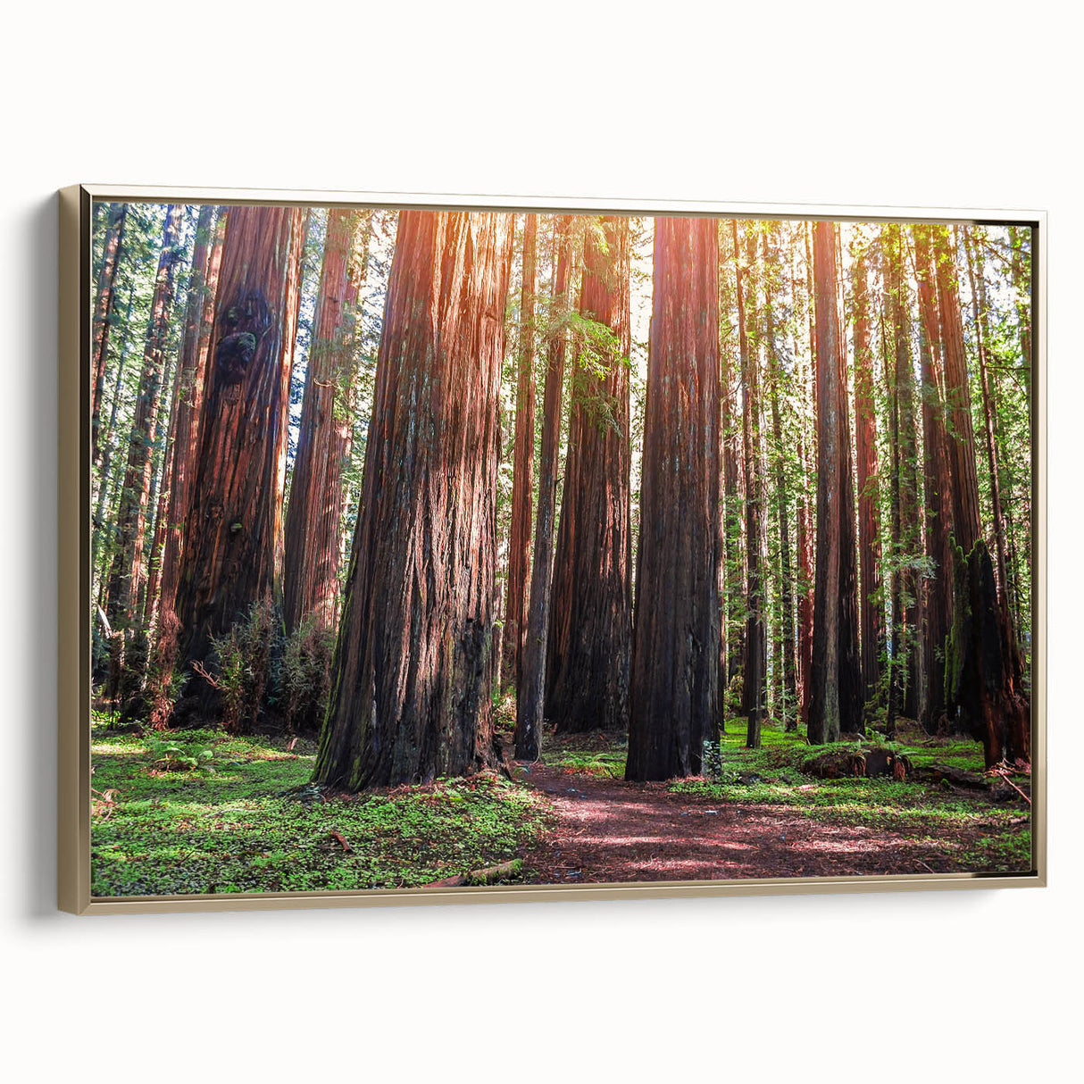 Framed canvas wall art showcasing a botanical design of redwood trees, featuring rich greens and gold accents, ideal for nature-inspired home decor.