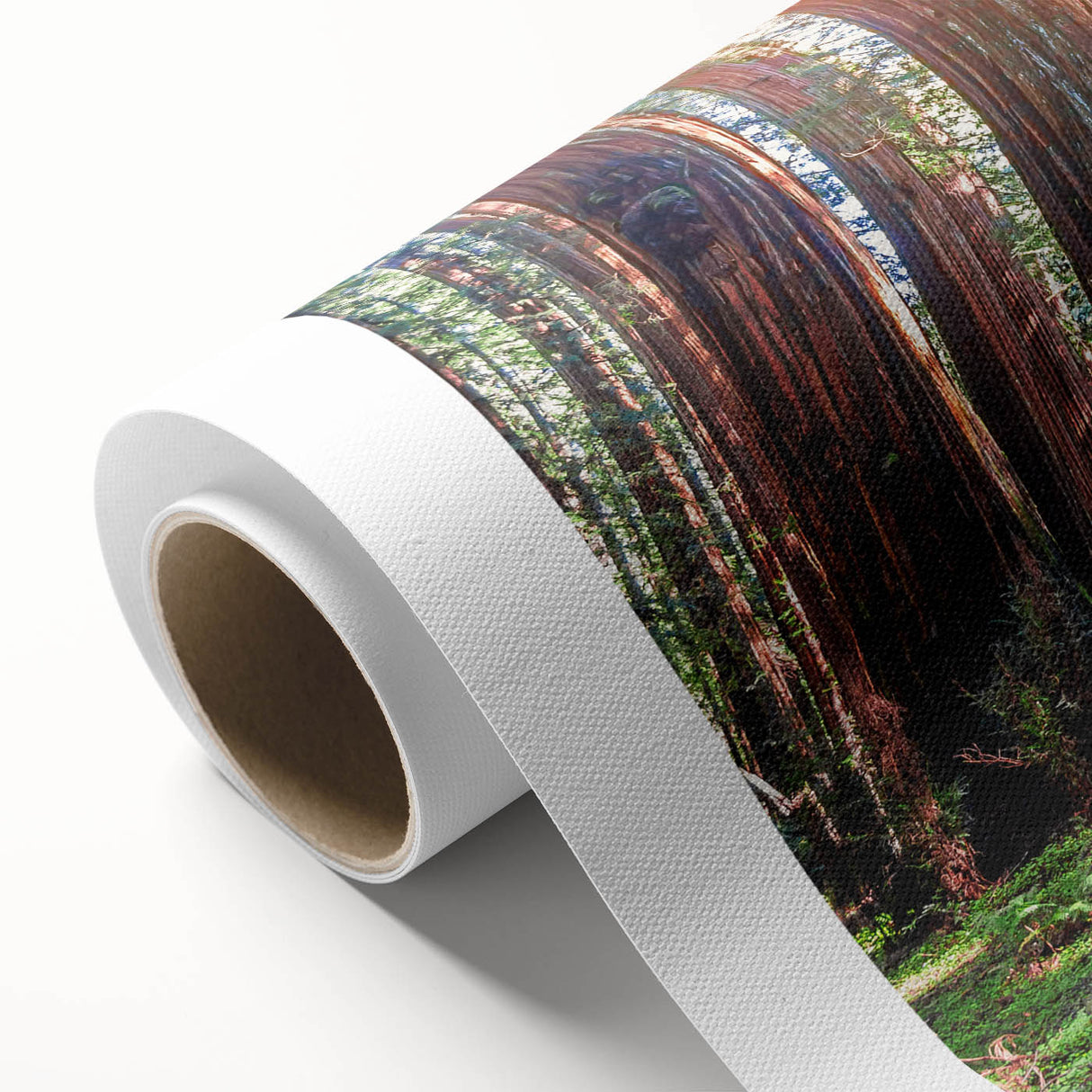 Rolled canvas wall art showcasing a vibrant botanical design of redwood trees, featuring intricate details and rich colors, perfect for nature-inspired decor.