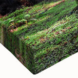 Close-up of a vibrant botanical wall art canvas depicting redwood trees, showcasing intricate details and rich colors, perfect for nature enthusiasts and home decor.