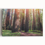 Vibrant wall art featuring a botanical design of redwood trees, printed on stretched canvas. The artwork showcases intricate details and lush green foliage, perfect for nature lovers.