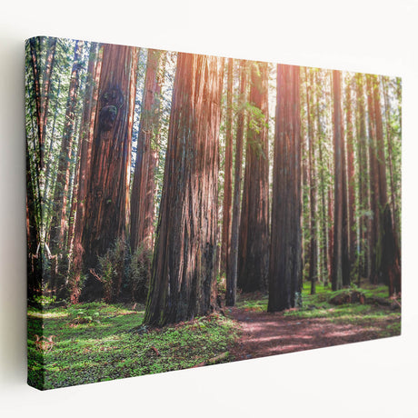 Stretched canvas wall art showcasing a vibrant botanical design featuring redwood trees, perfect for nature-themed decor. Side view highlights the artwork's depth.