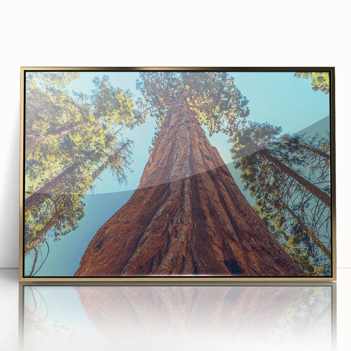 Framed wall art featuring a vibrant botanical design of redwood trees, elegantly presented with a gold-accented frame, perfect for nature enthusiasts.