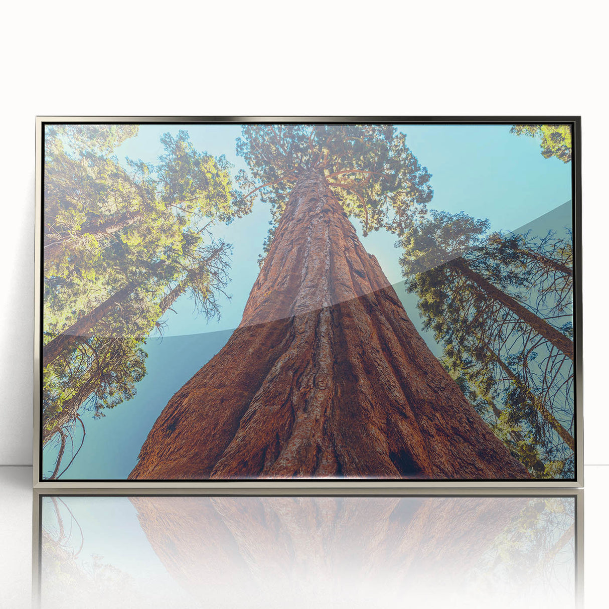 Framed wall art featuring a vibrant botanical design of redwood trees, displayed with a silver frame, ideal for nature enthusiasts and home decor lovers.
