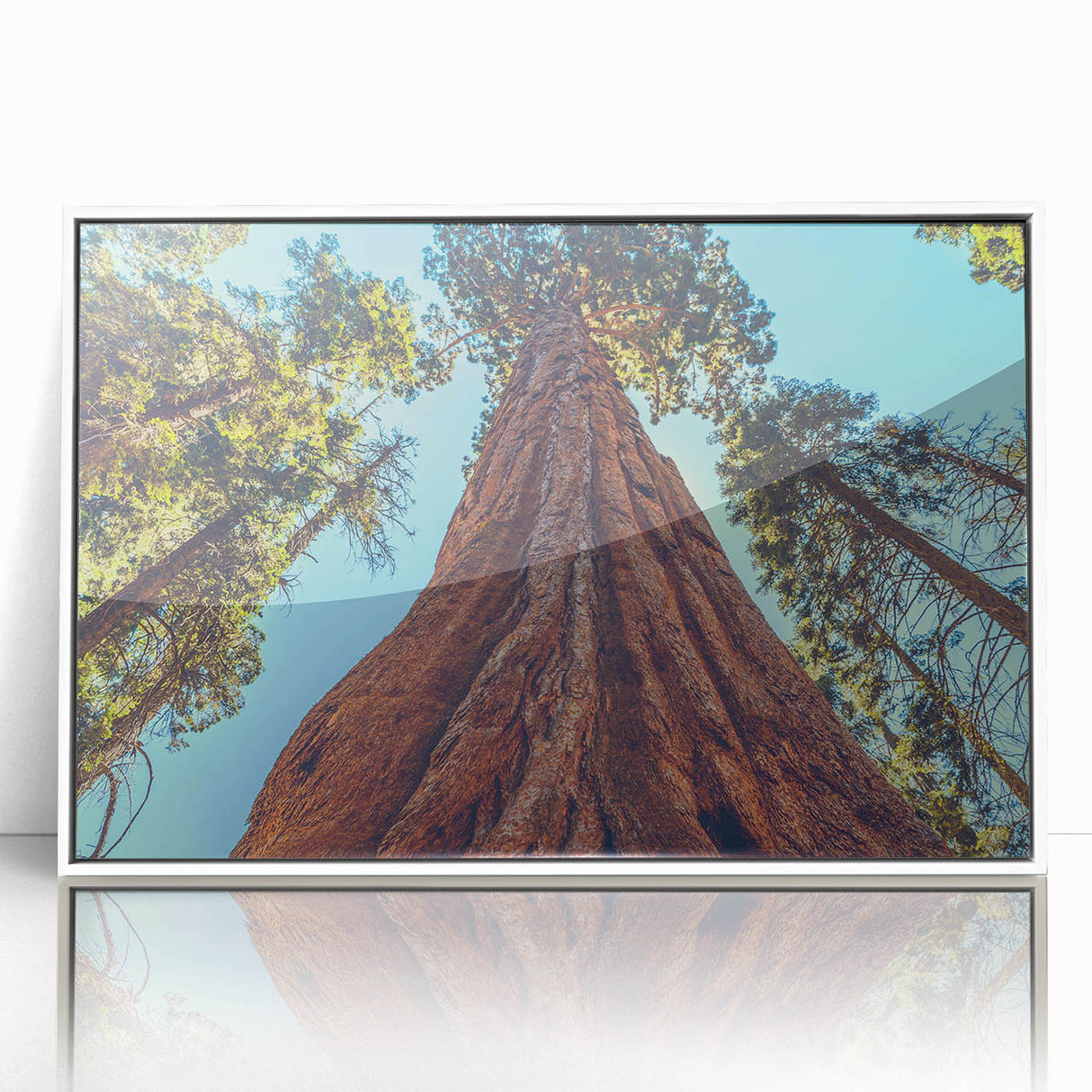 Framed wall art featuring a botanical design of vibrant redwood trees, set against a white background, ideal for nature-inspired home decor. Perfect for adding a touch of elegance to any room.
