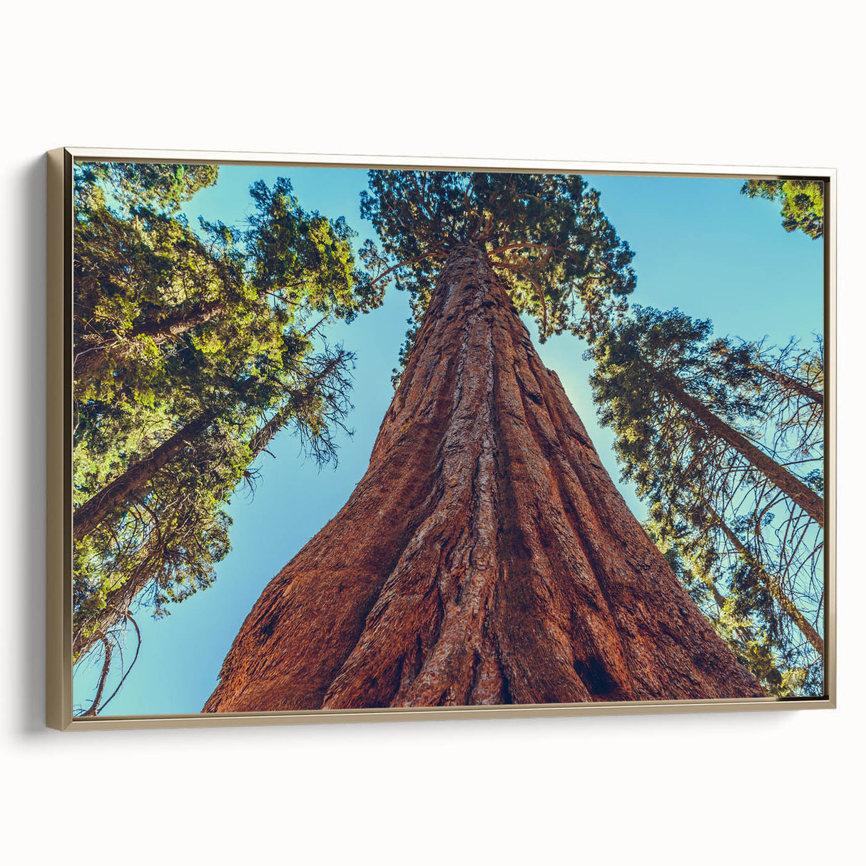 Framed canvas wall art featuring a botanical design of redwood trees with vibrant green foliage and gold accents, presented in a stylish side view. Ideal for nature lovers and home decor enthusiasts, this artwork adds elegance to any space.