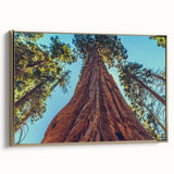 Framed canvas wall art featuring a botanical design of redwood trees with vibrant green foliage and gold accents, presented in a stylish side view. Ideal for nature lovers and home decor enthusiasts, this artwork adds elegance to any space.