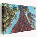 Stretched canvas wall art featuring a vibrant botanical design of redwood trees, showcasing intricate details and natural colors in a side view perspective, ideal for nature-themed decor.