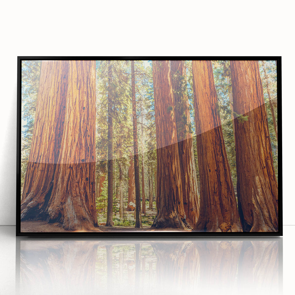 Framed wall art showcasing a vibrant botanical design of redwood trees, featuring a sleek black frame and acrylic finish, perfect for enhancing home decor.