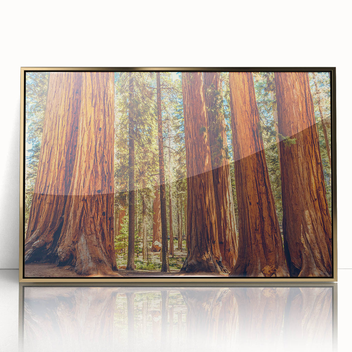 Framed wall art showcasing a vibrant botanical design of redwood trees, featuring a gold acrylic frame that enhances the natural colors and textures. Perfect for nature enthusiasts and home decor.