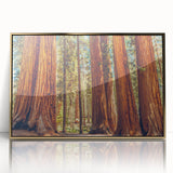 Framed wall art showcasing a vibrant botanical design of redwood trees, featuring a gold acrylic frame that enhances the natural colors and textures. Perfect for nature enthusiasts and home decor.