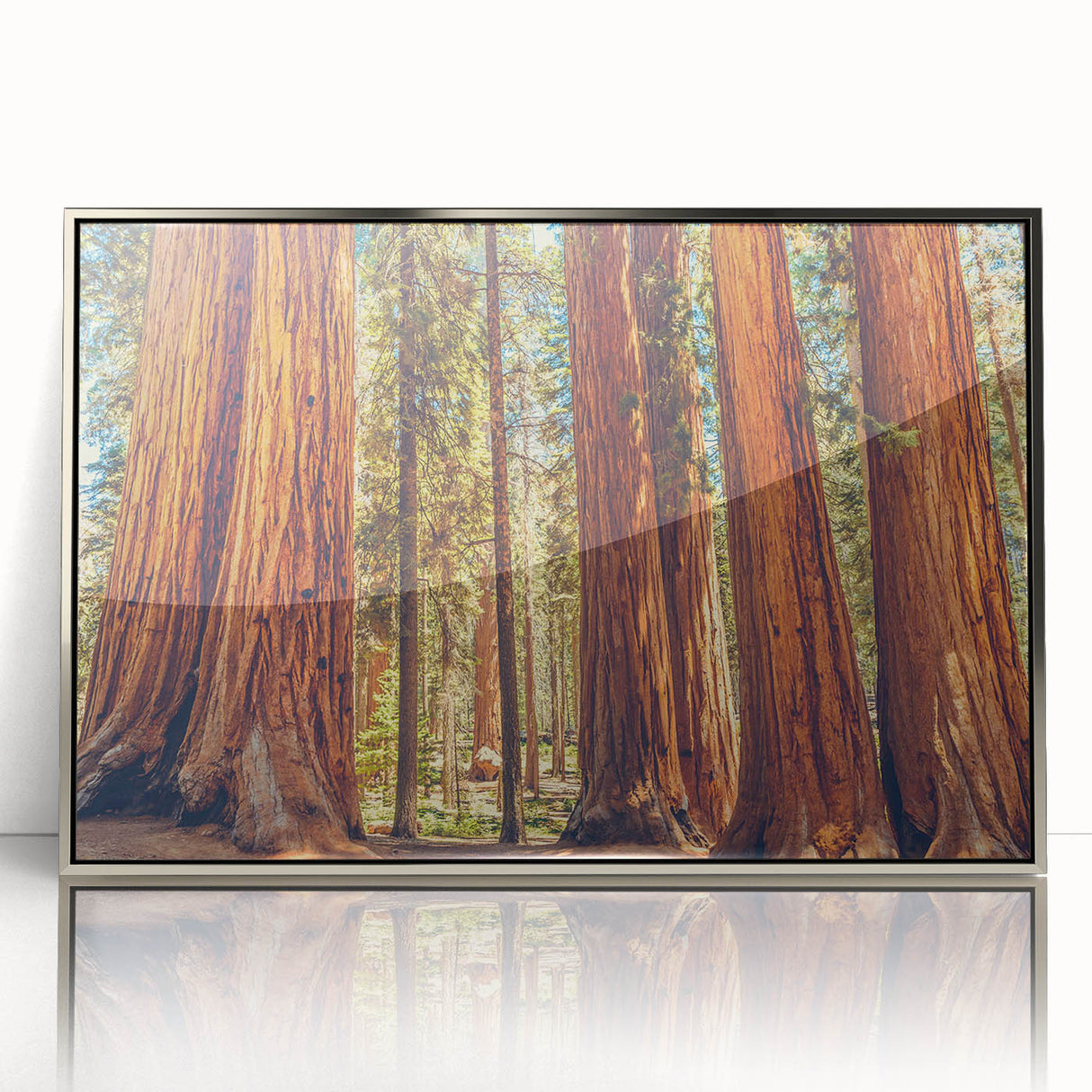 Framed wall art featuring a botanical design of redwood trees in vibrant colors, set in a sleek silver frame, ideal for nature-inspired decor.