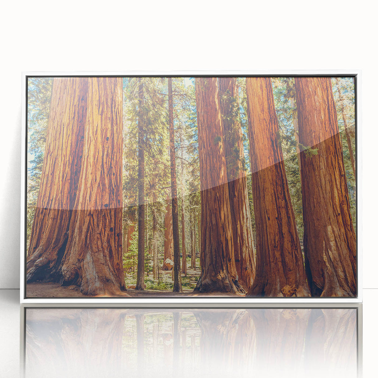 Framed wall art featuring a vibrant botanical design of redwood trees, set against a white background, showcasing intricate details and natural beauty. Perfect for nature-inspired decor.