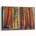 Framed canvas wall art featuring a vibrant botanical design of redwood trees, showcasing intricate details and a sleek black frame, ideal for nature lovers' decor.