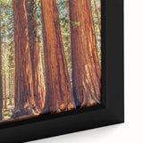 Close-up of a framed canvas artwork showcasing vibrant redwood trees surrounded by colorful botanical flowers, ideal for nature-inspired home decor and wall art collections.