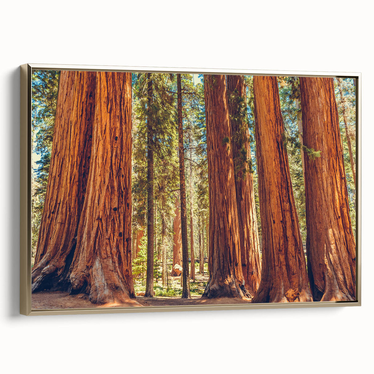 Framed canvas wall art showcasing a botanical design of redwood trees with vibrant green foliage and gold accents, perfect for nature-inspired decor.