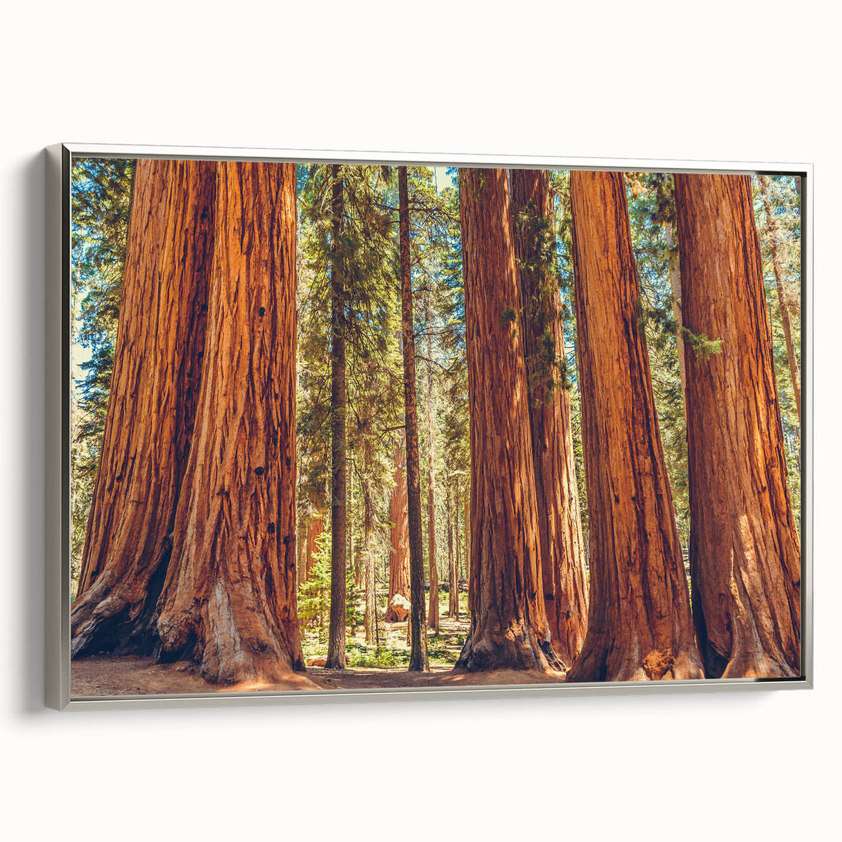 Framed canvas wall art showcasing a botanical design of redwood trees, featuring silver accents and a side view perspective, perfect for nature lovers.