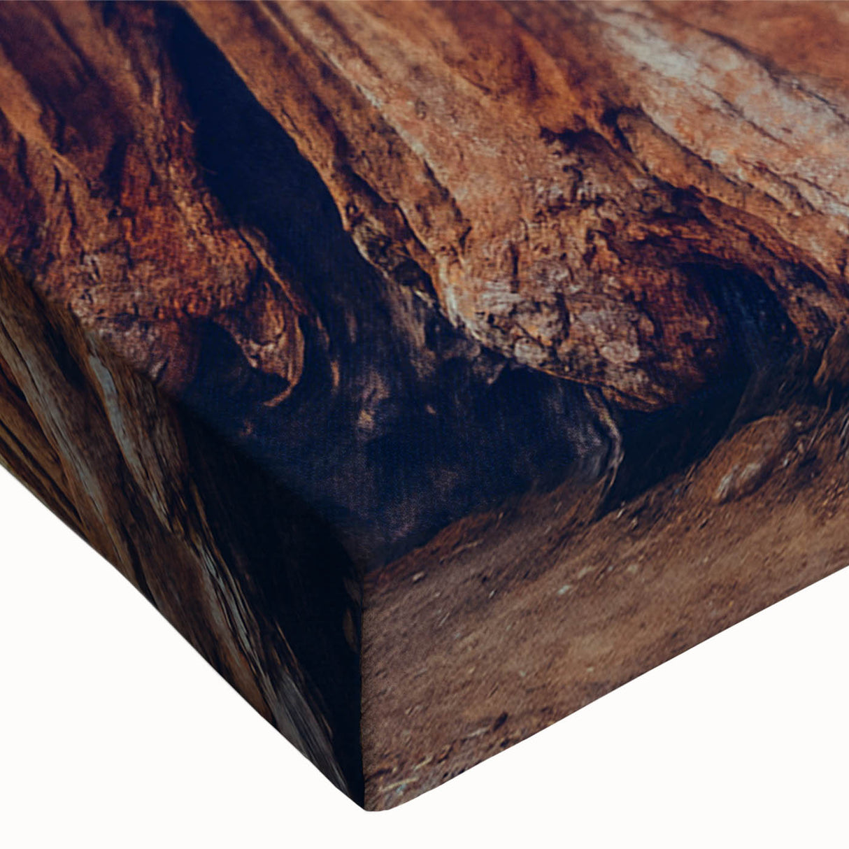 Close-up of a vibrant botanical wall art design featuring intricate redwood trees, showcasing detailed textures and rich colors on stretched canvas. Perfect for nature lovers.
