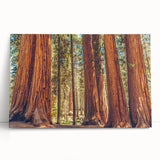 Stretched canvas wall art showcasing vibrant floral designs intertwined with majestic redwood trees, perfect for nature enthusiasts and home decor, leaning against a neutral backdrop.