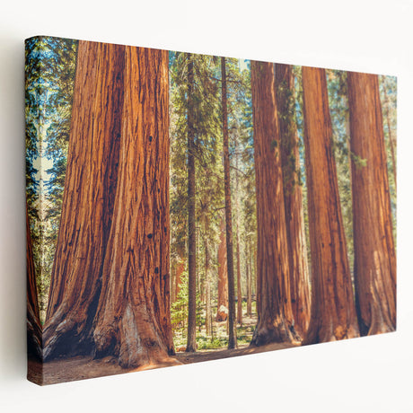 Stretched canvas wall art showcasing a vibrant botanical design featuring redwood trees, with intricate detailing and a side view perspective, ideal for nature-themed decor.