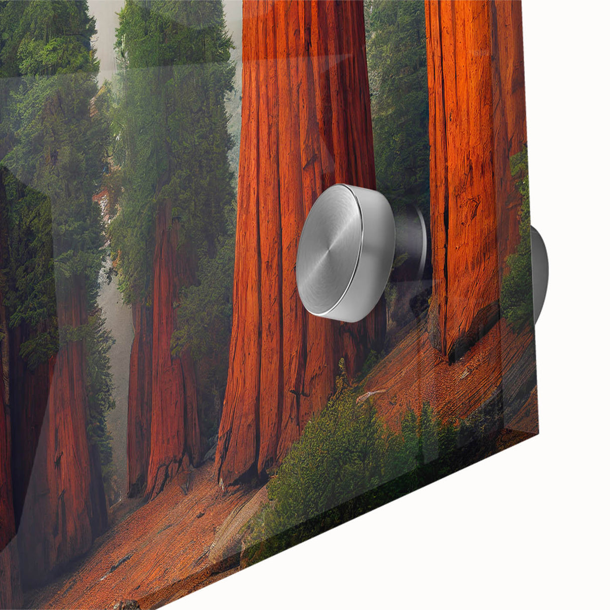Close-up of vibrant botanical wall art featuring redwood trees, showcasing intricate details of leaves and bark in vivid colors, perfect for nature enthusiasts.