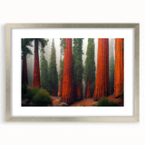 Framed botanical wall art featuring vibrant redwood trees design in silver finish, perfect for enhancing home decor with natural elegance.