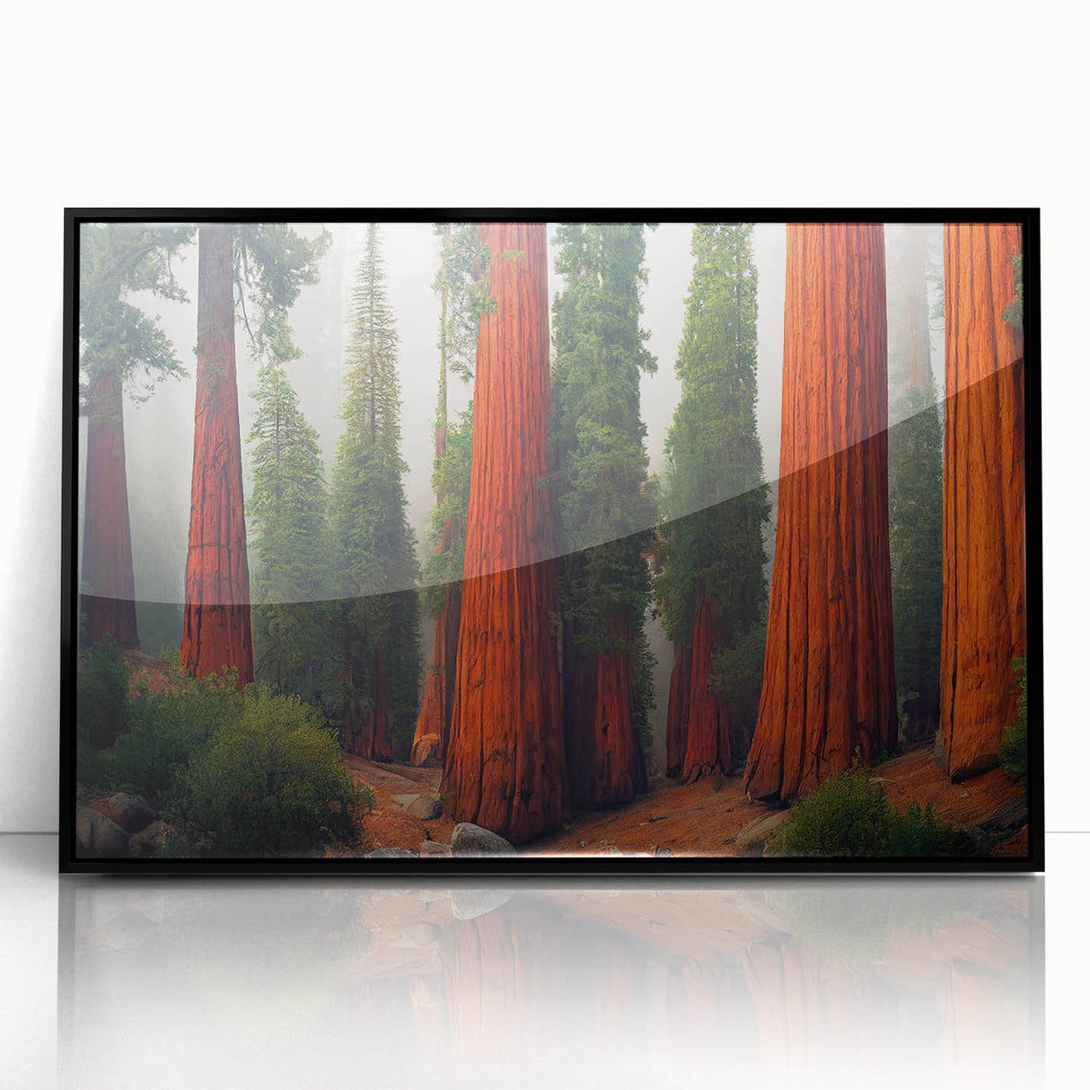 Framed wall art featuring a botanical design of redwood trees, set against a black background, showcasing vibrant colors and intricate details, perfect for nature lovers.