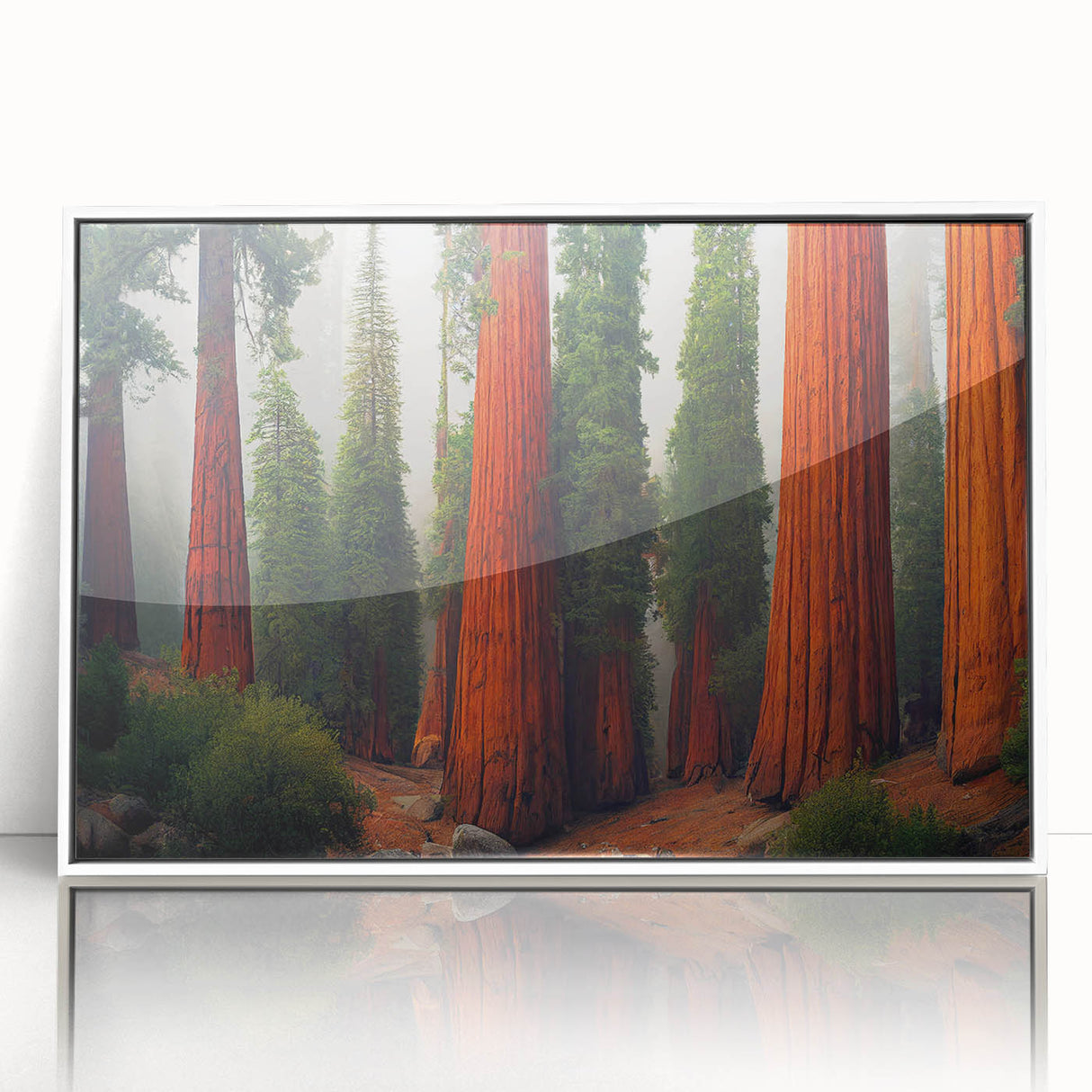 Framed acrylic wall art collection showcasing a vibrant botanical design of redwood trees, featuring a white frame and a front view perspective, perfect for nature lovers.