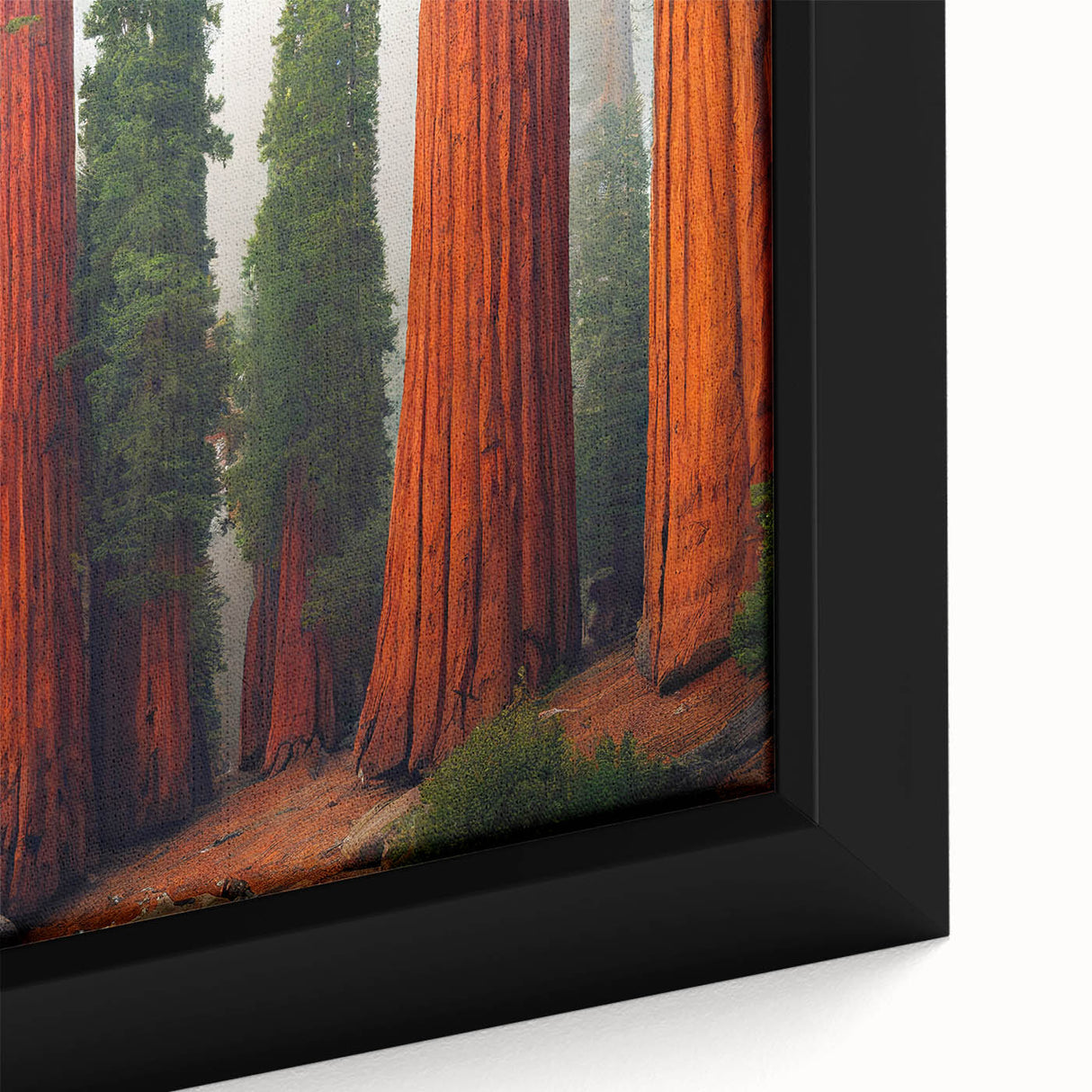 Close-up of a framed canvas wall art featuring vibrant redwood trees with intricate botanical designs, showcasing rich colors and detailed textures, perfect for enhancing any nature-inspired decor.