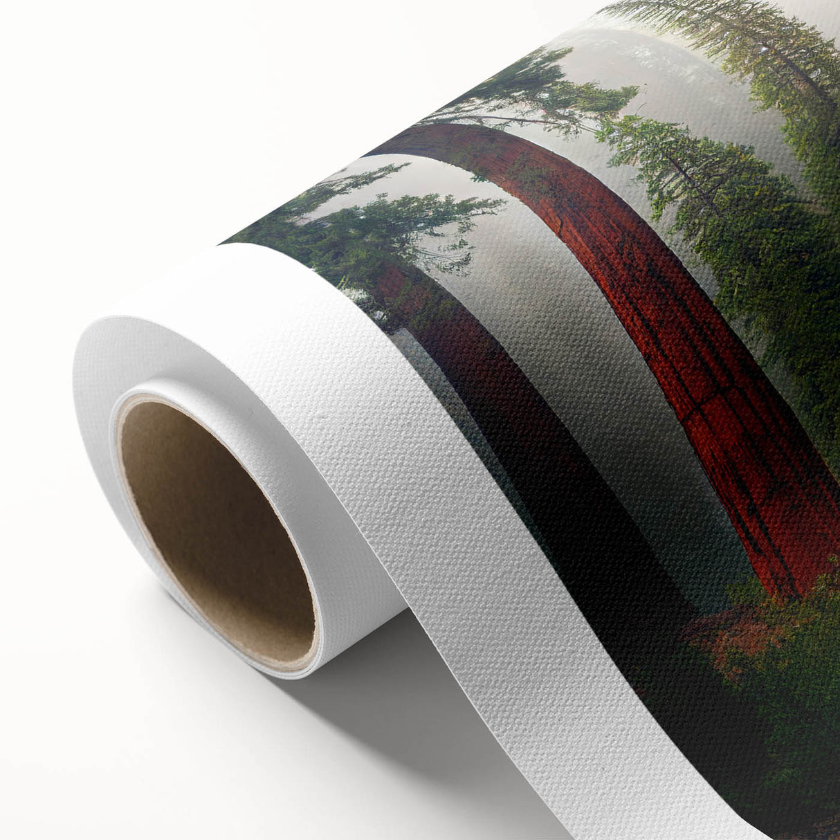 Vibrant rolled canvas artwork showcasing intricate botanical designs of redwood trees, perfect for enhancing home decor with a nature-inspired theme.