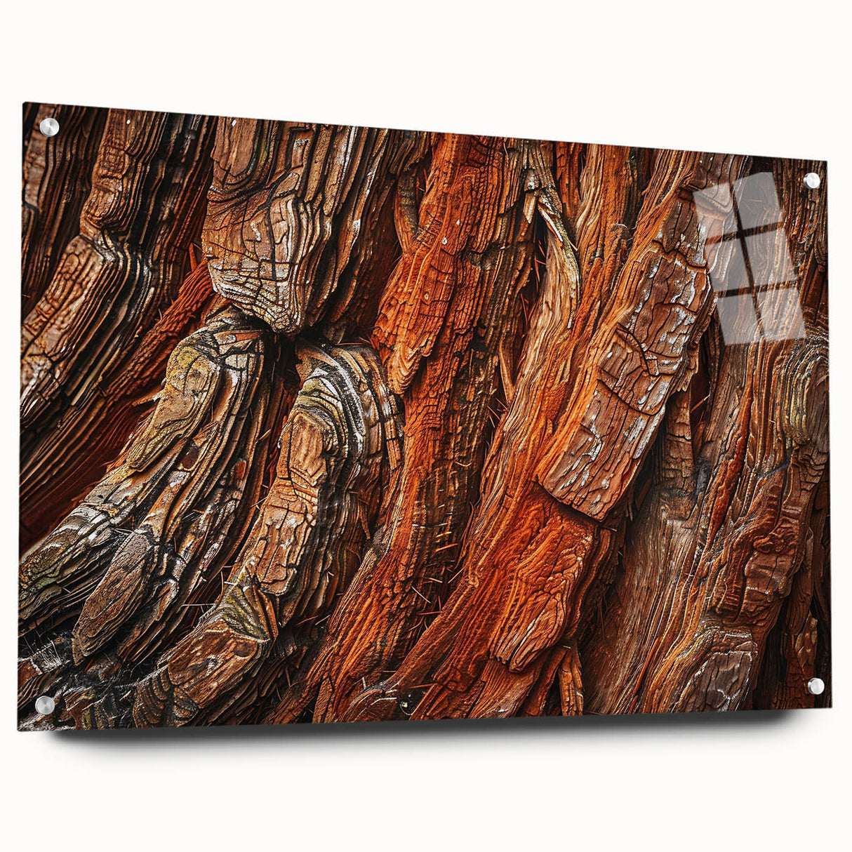 Acrylic glass wall art showcasing a vibrant botanical design featuring redwood trees, displayed from a side view with decorative pins. Ideal for nature-themed decor.