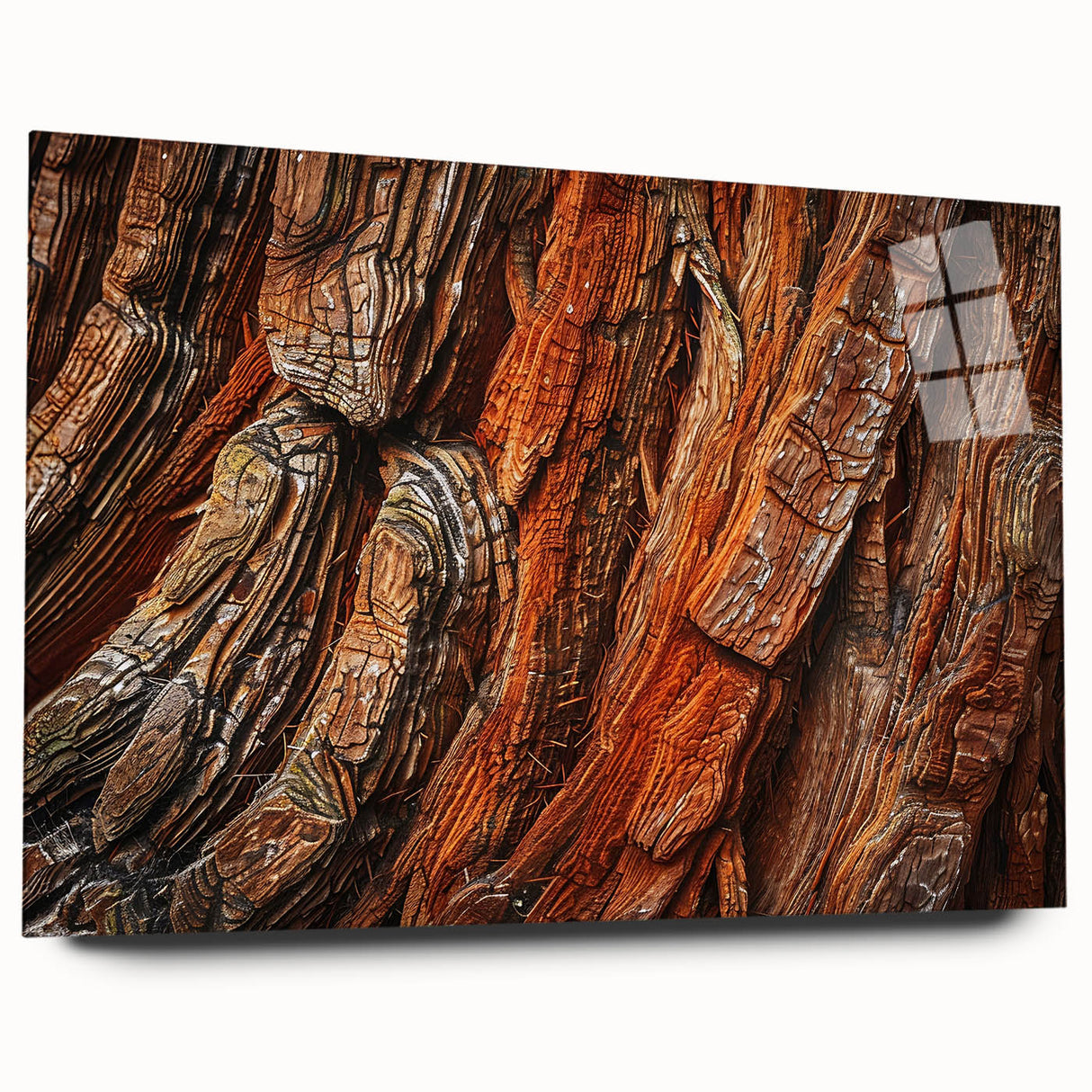 Acrylic glass wall art collection showcasing a botanical design of vibrant redwood trees, viewed from the side, highlighting intricate details and rich colors.