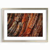 Framed botanical wall art featuring vibrant redwood tree illustrations, elegantly matted with a silver frame, perfect for nature-themed decor. Ideal for enhancing living spaces.
