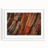 Botanical wall art featuring a vibrant design of redwood trees and flowers, framed with a white mat, perfect for enhancing home decor with a natural theme.