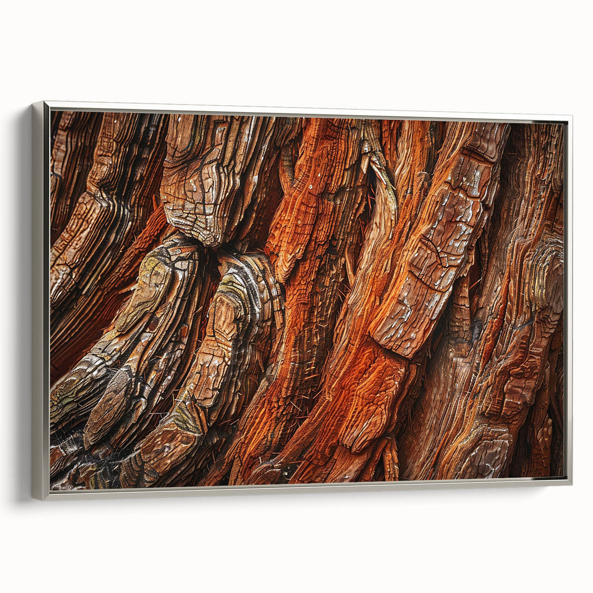Framed wall art collection depicting vibrant floral designs and majestic redwood trees, showcased in a sleek silver frame, perfect for home decor.
