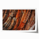 Vibrant botanical wall art print showcasing intricate redwood trees against a serene backdrop, ideal for nature lovers and home decor enthusiasts. Perfect for adding a touch of elegance to any room.