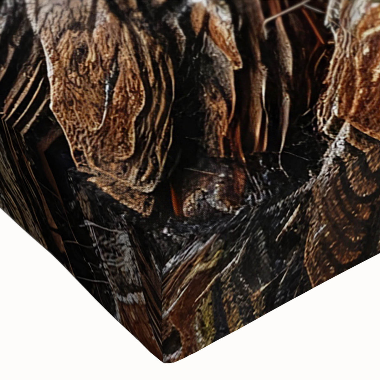 Close-up of a vibrant botanical wall art design showcasing redwood trees, featuring rich colors and intricate details on stretched canvas, ideal for nature lovers.