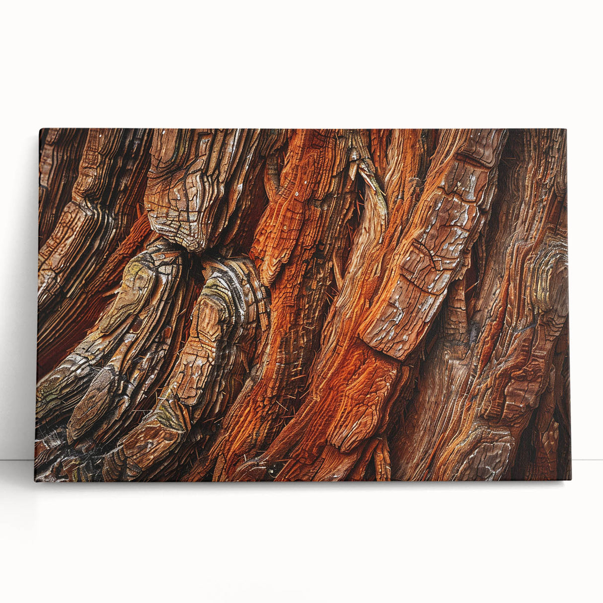 Stretched canvas wall art featuring a vibrant botanical design of redwood trees, showcasing intricate details and rich colors, perfect for nature-inspired decor.
