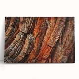 Stretched canvas wall art featuring a vibrant botanical design of redwood trees, showcasing intricate details and rich colors, perfect for nature-inspired decor.