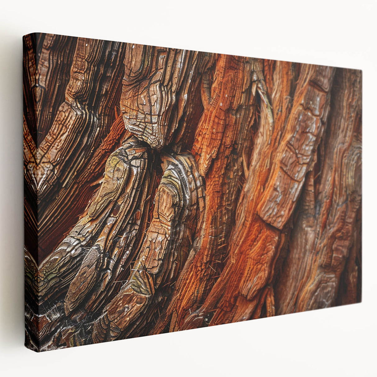 Stretched canvas wall art depicting a botanical design of vibrant redwood trees, showcasing intricate details and rich colors, perfect for nature-inspired decor.