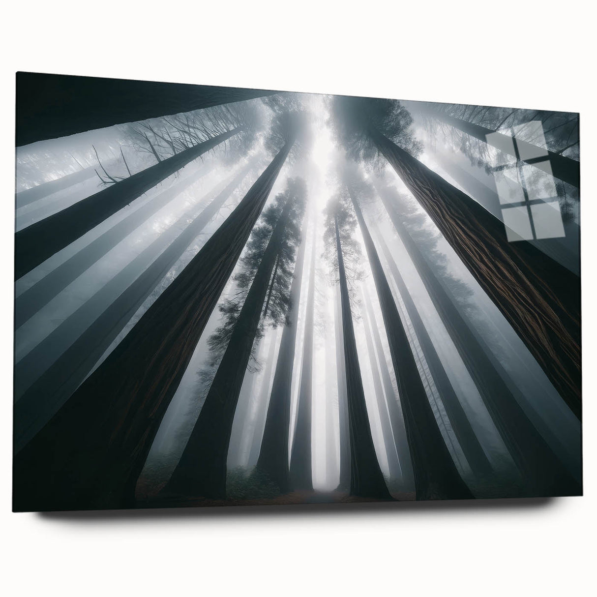 Botanical wall art collection featuring vibrant redwood tree designs printed on acrylic glass, showcasing intricate details and a modern side view without pins, perfect for home decor.