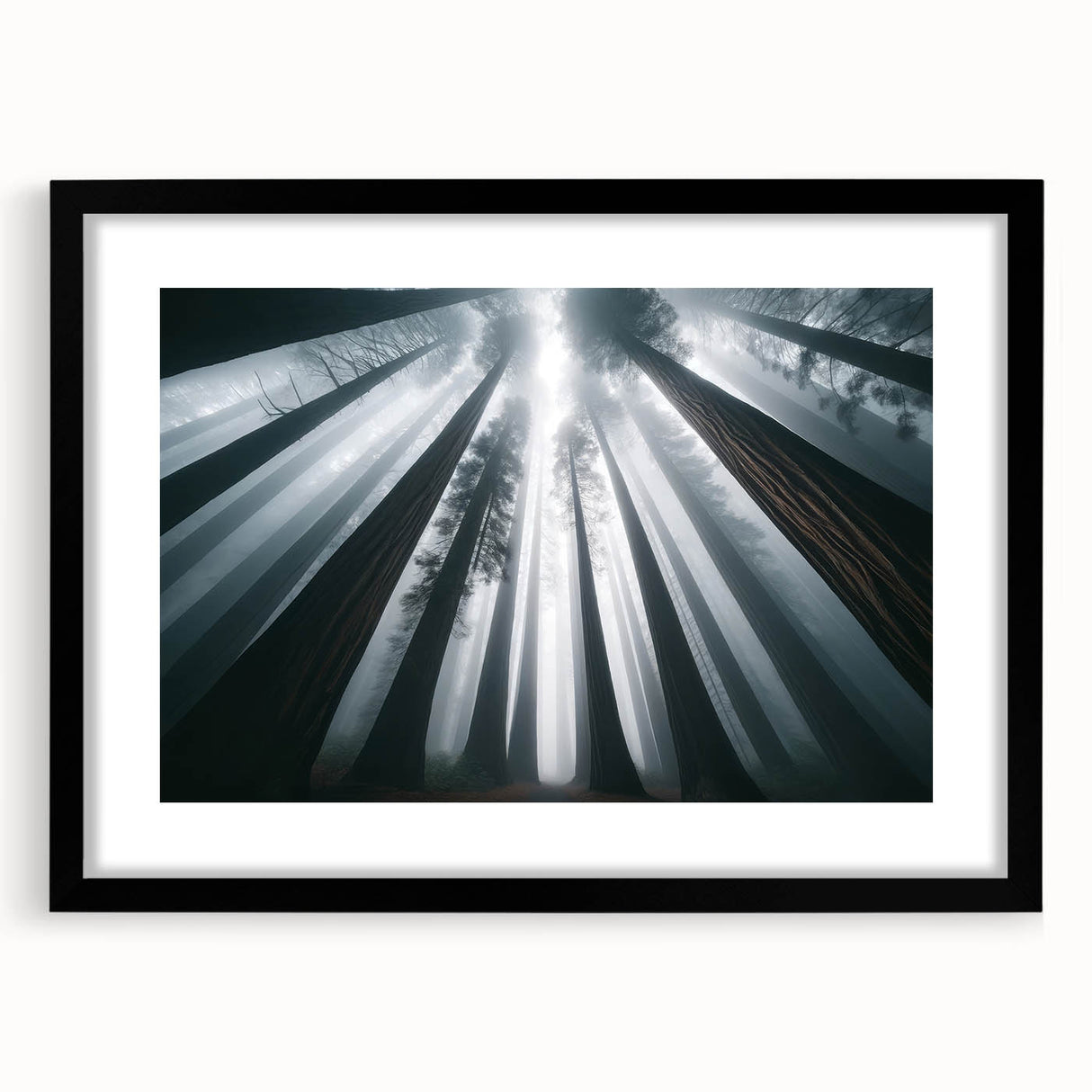 Framed wall art collection showcasing vibrant botanical illustrations of redwood trees, featuring a sleek black frame and white mat, perfect for nature lovers.