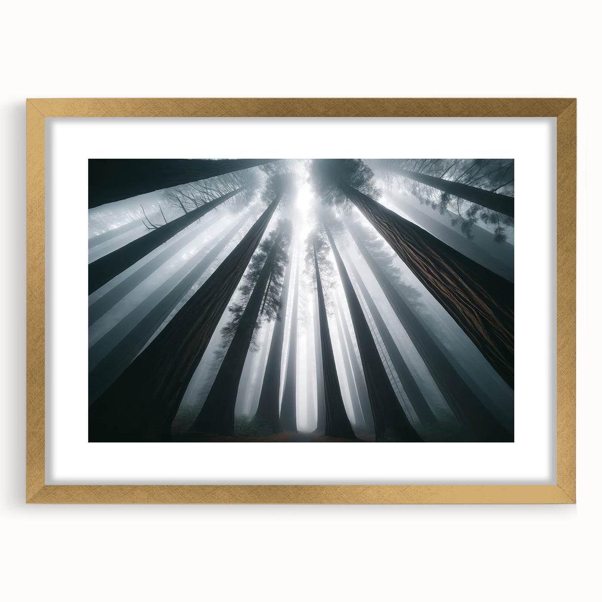 Framed botanical wall art collection showcasing vibrant flowers and majestic redwood trees, designed with a gold mat and frame for an elegant display.