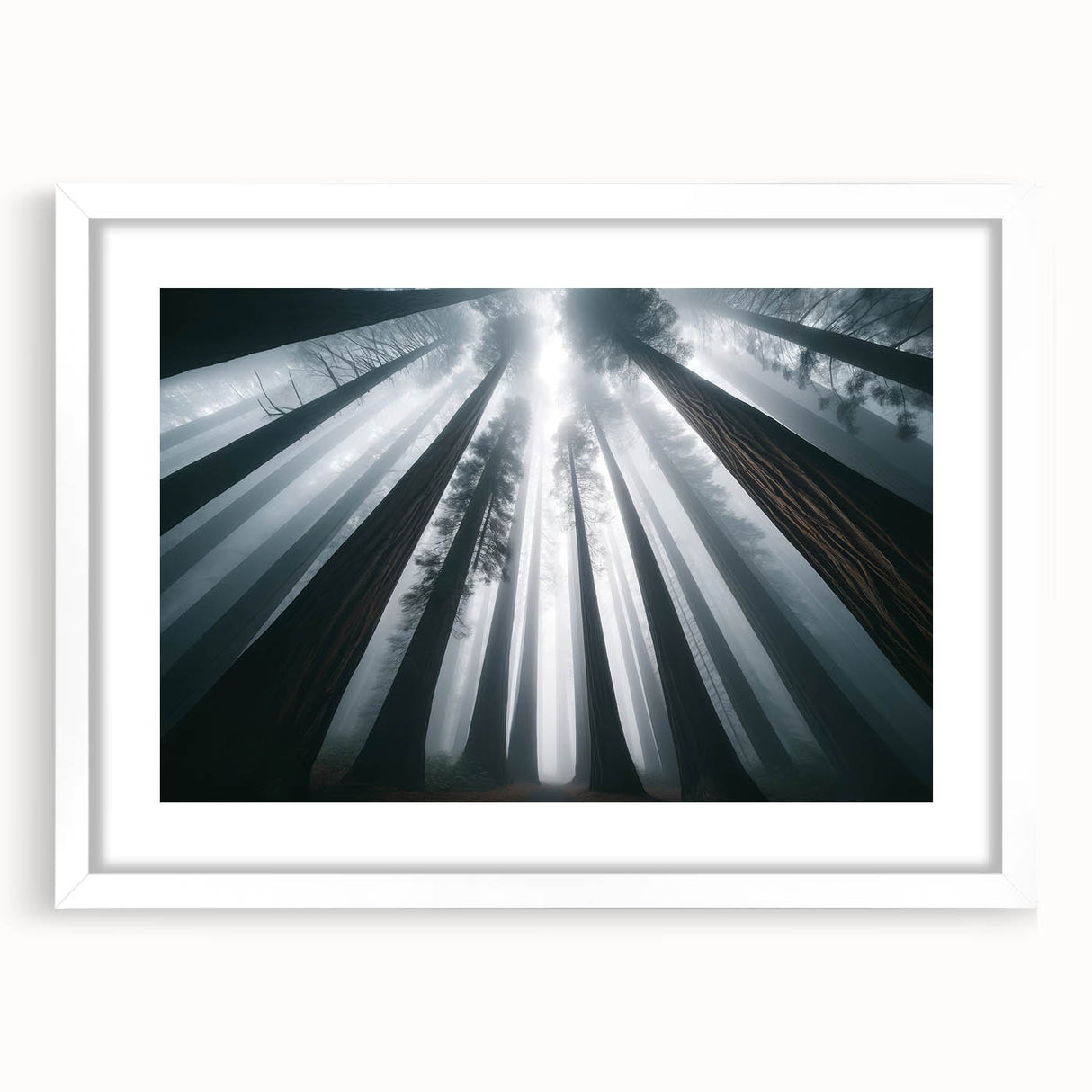 Framed botanical wall art showcasing vibrant flowers and majestic redwood trees, set against a white background, perfect for nature-inspired decor.