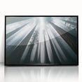 Framed wall art showcasing a vibrant botanical design featuring redwood trees, set in a black frame with acrylic glass, perfect for nature enthusiasts and home decor.