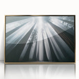 Framed wall art showcasing a vibrant botanical design of redwood trees, featuring gold accents and a sleek acrylic front, ideal for enhancing home decor.