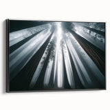 Framed canvas wall art showcasing a vibrant botanical design of redwood trees, set against a black background, ideal for nature-themed home decor.