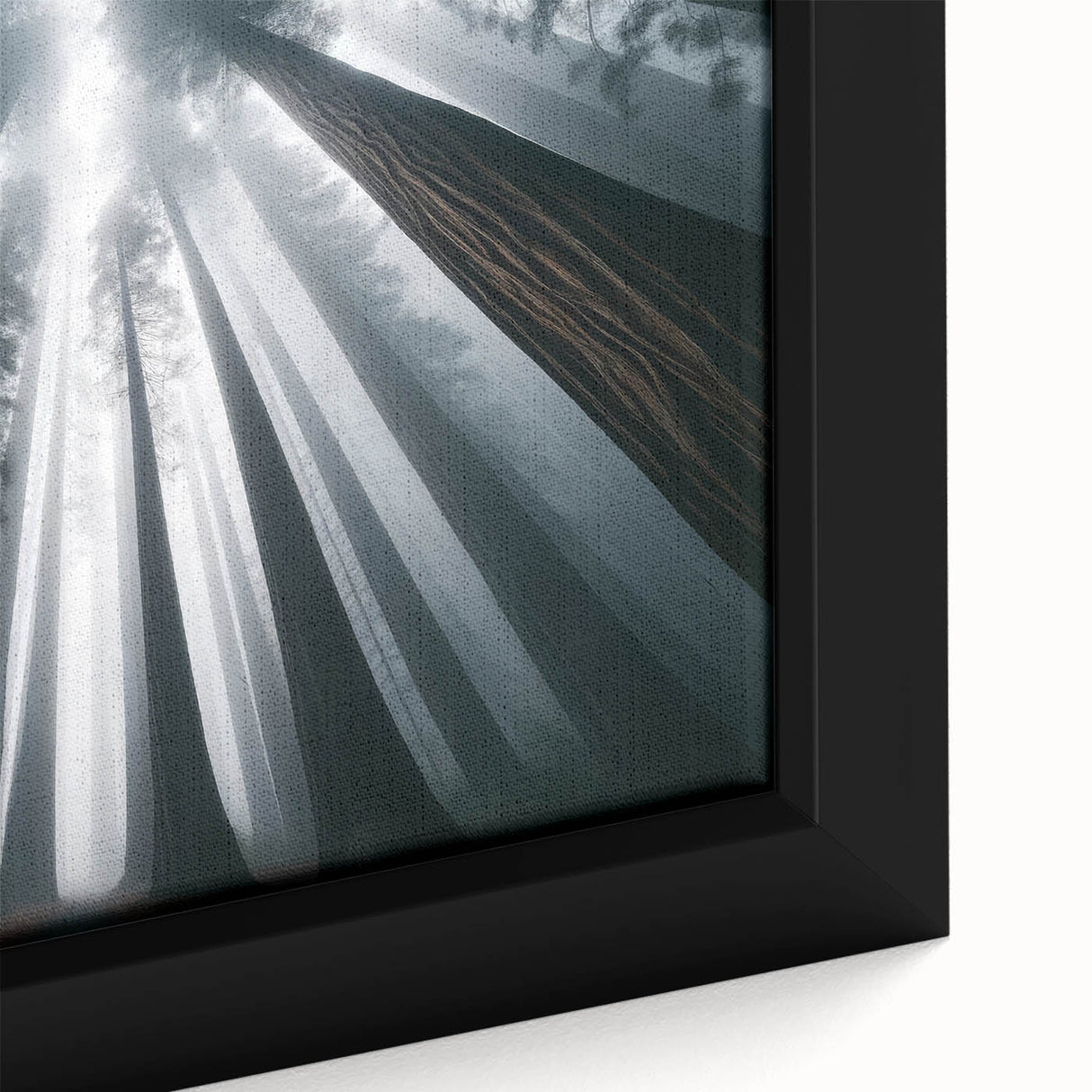 Close-up of a framed canvas featuring a vibrant botanical design of redwood trees, showcasing intricate details and rich colors, ideal for nature-inspired decor.